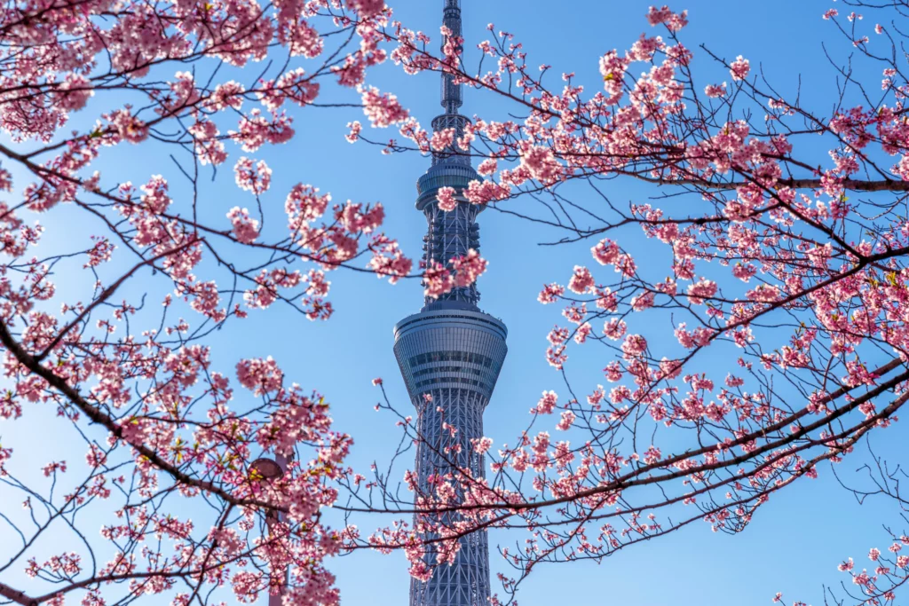 Skytree