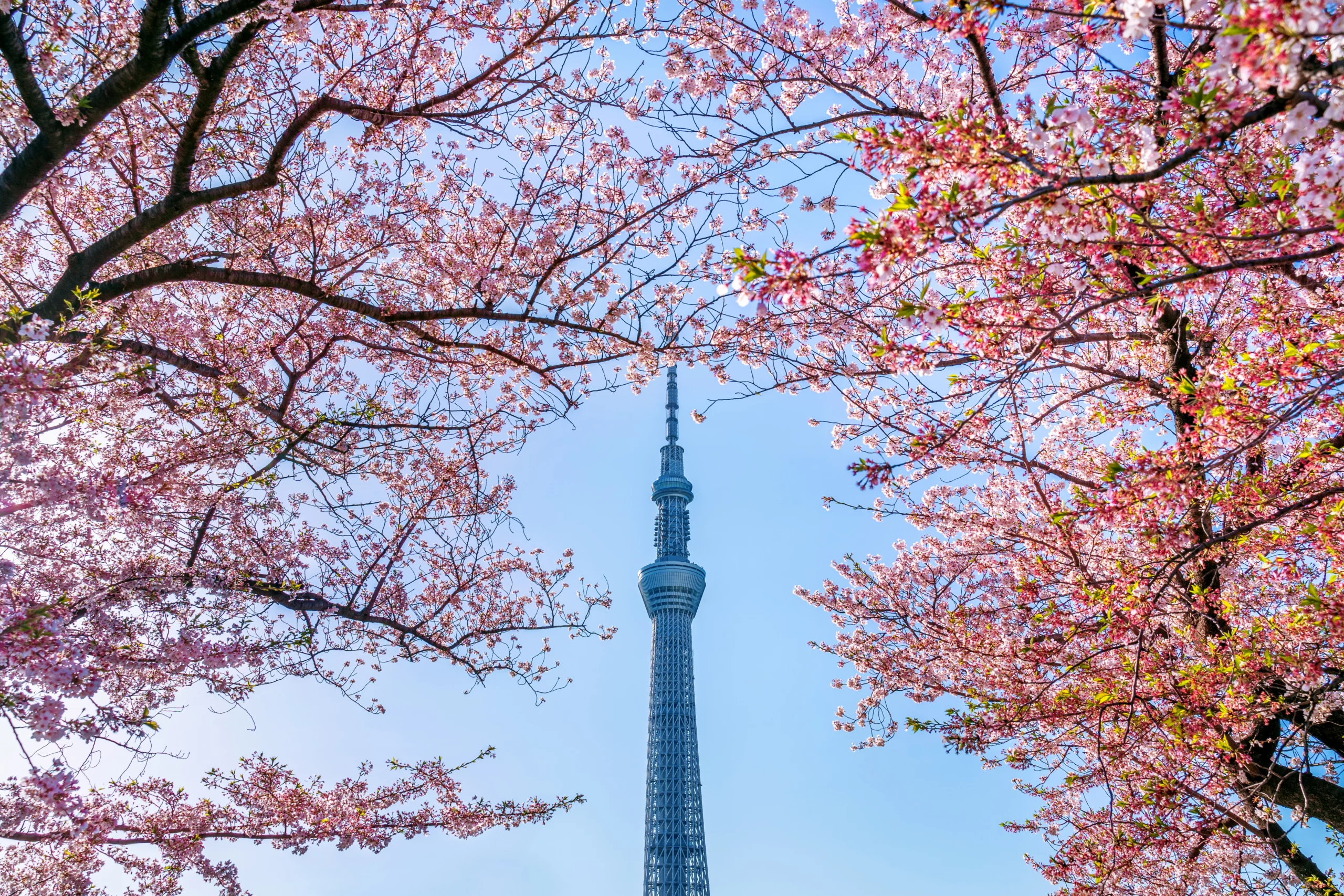 Tokyo Skytree Tickets